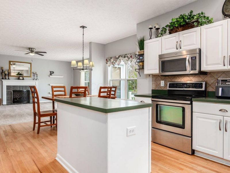 4034 Pioneer Court , Powell, OH 43065 Photo 15