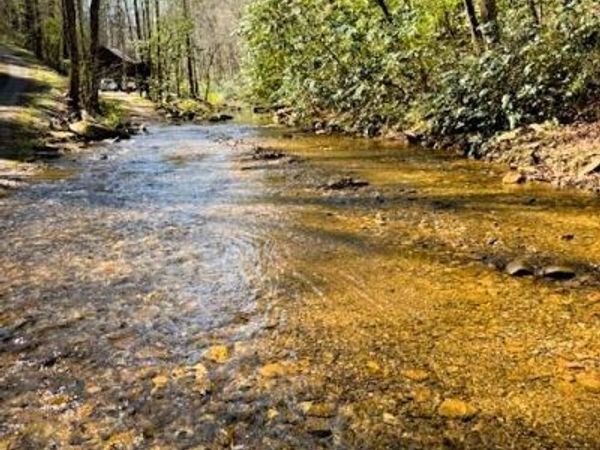 7.68 Ac Ellis Creek Road, Reliance, TN 37369