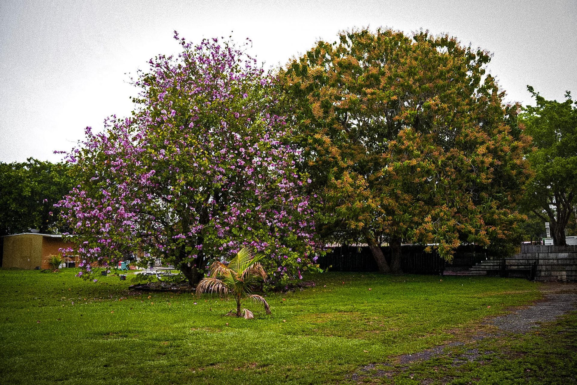 3825 Lakewood Road, Unit A, Palm Springs, FL 33461 Photo