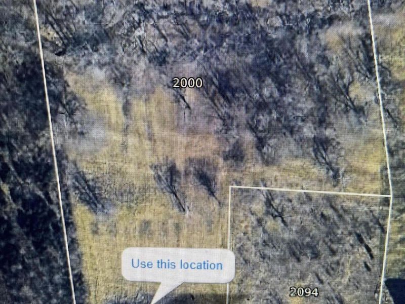 2000 Shady Lane, Crittenden, KY 41030 Photo 34