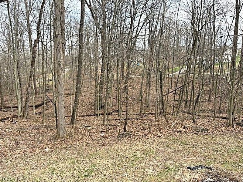 6405 Pixie Place, Nashport, OH 43830 Photo 32