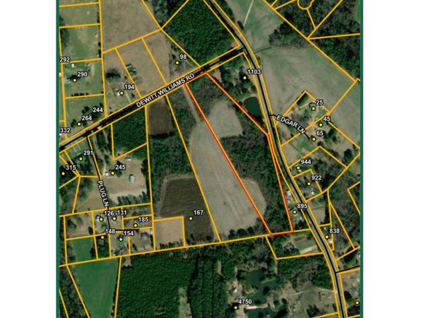 0 Dewitt Williams Road , Autryville, NC 28318