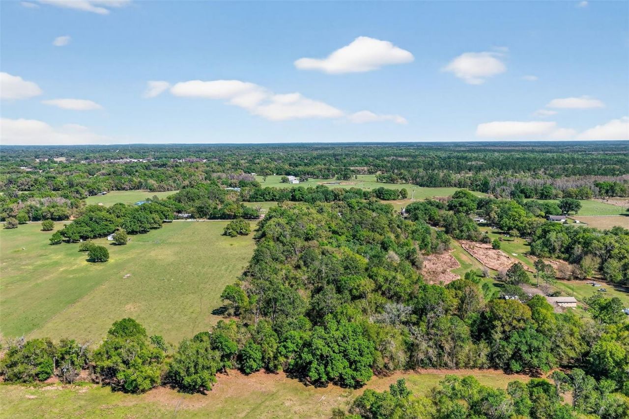 14370 Co Rd 751, Webster, FL 33597 Photo