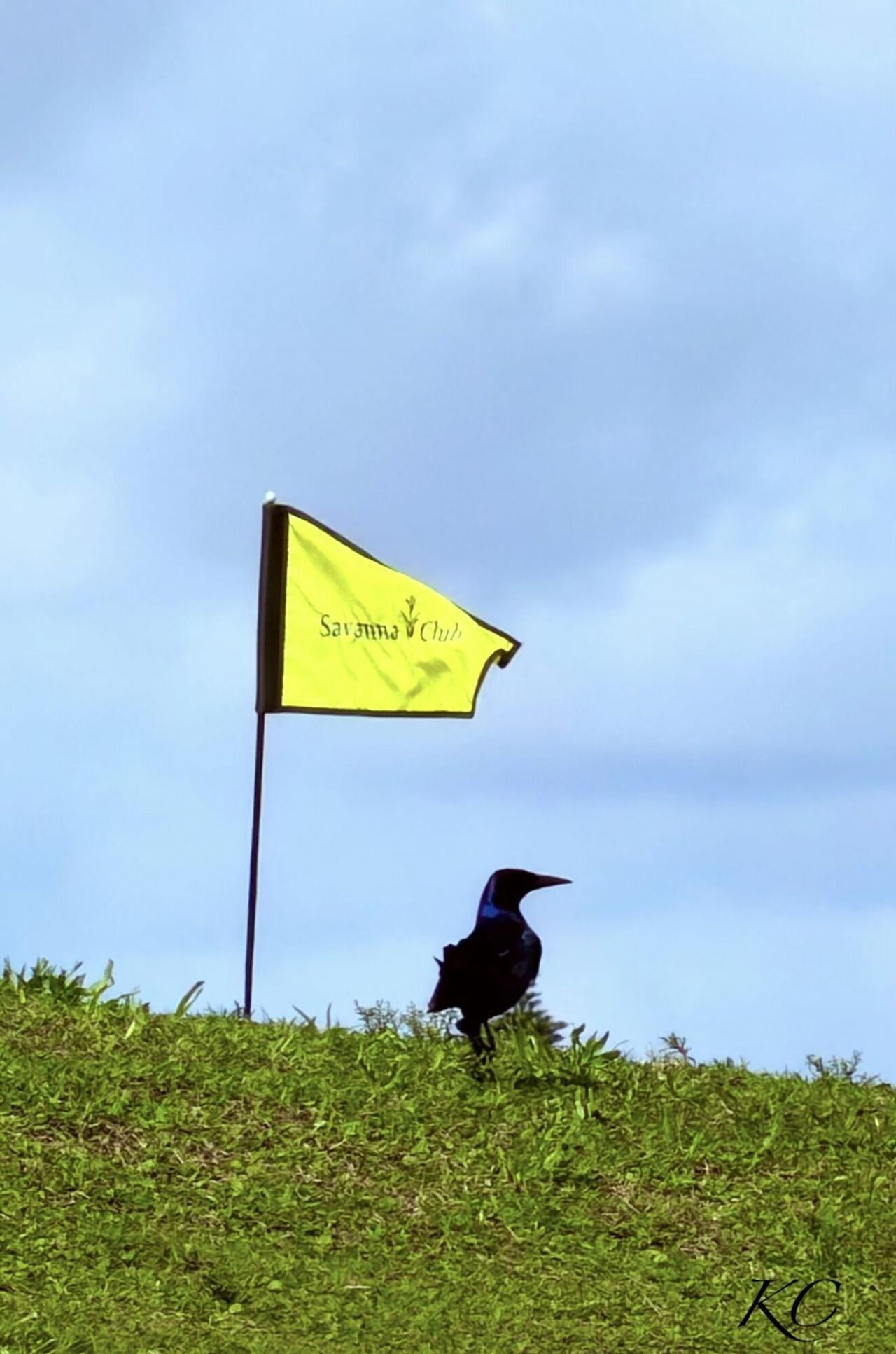 8181 14th Hole Drive, Port Saint Lucie, FL 34952 Photo