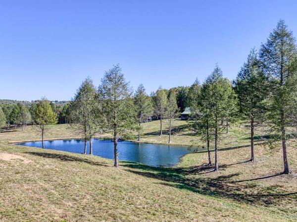 4832 Lovejoy Rd, Crawford, TN 38554