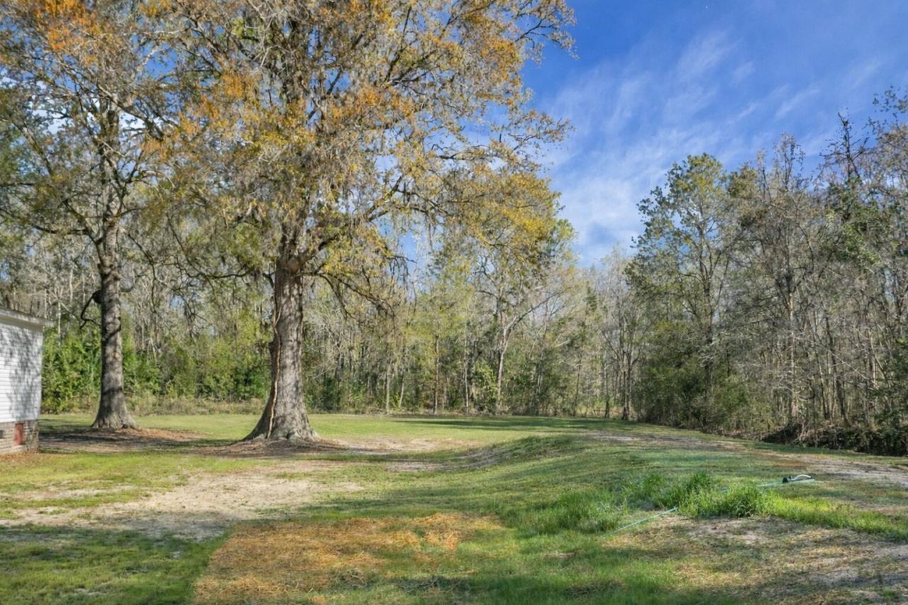 274 Rae Lane Photo 11