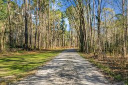 274 Rae Lane photo 4