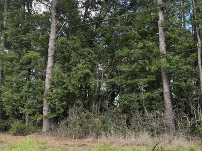 0 University Drive, Unit Lot 184, North Charleston, SC 29418