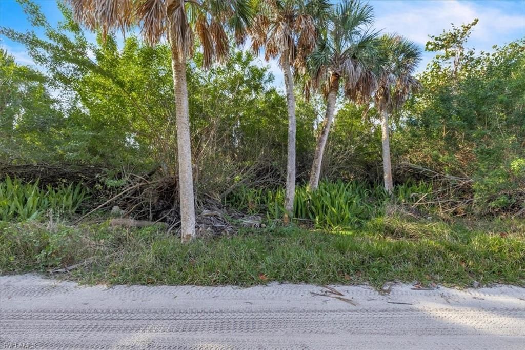 4521 Oro Pesos Ln, Captiva, FL 33924 Photo