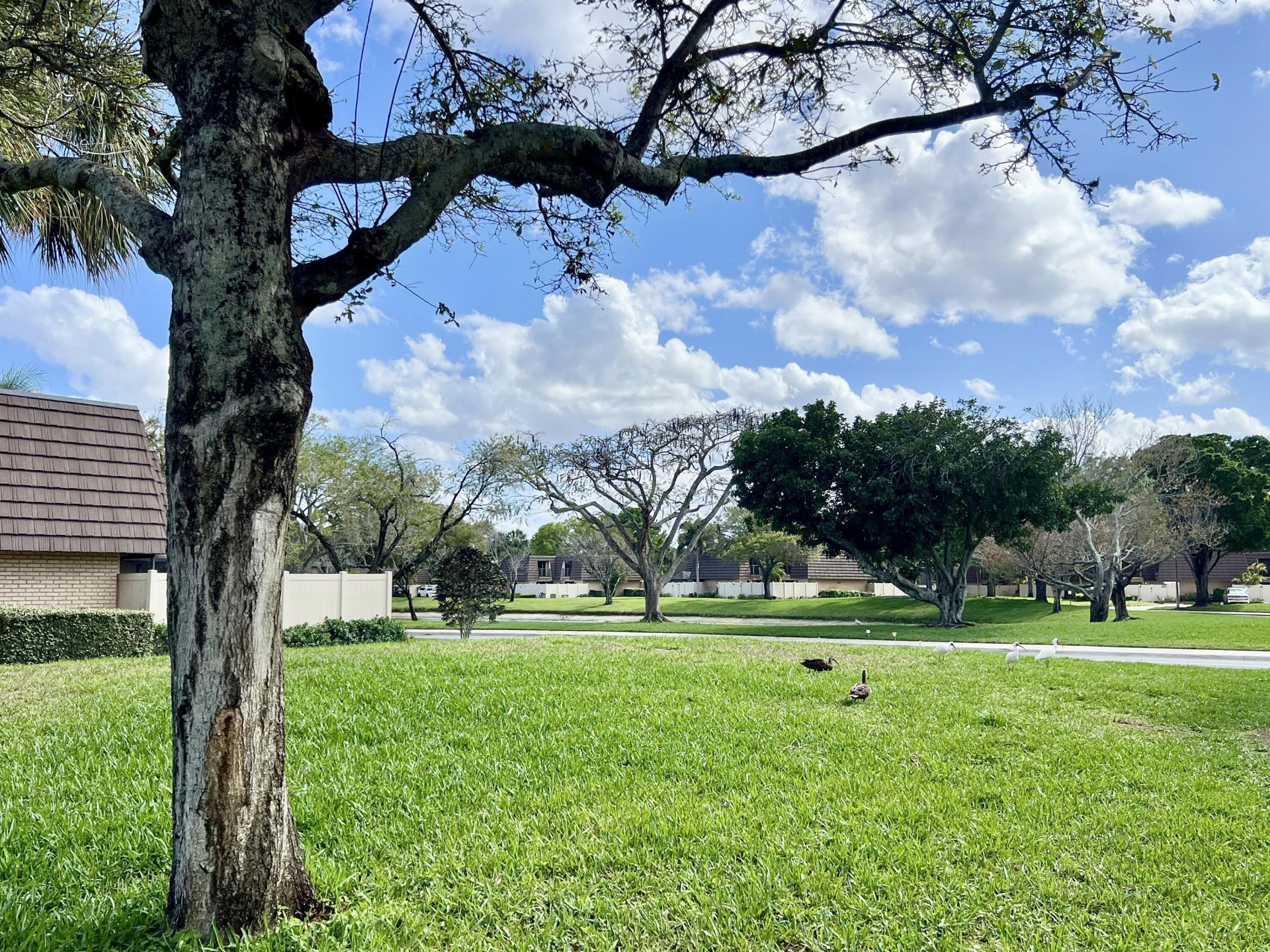 7206 72nd Way, West Palm Beach, FL 33407 Photo