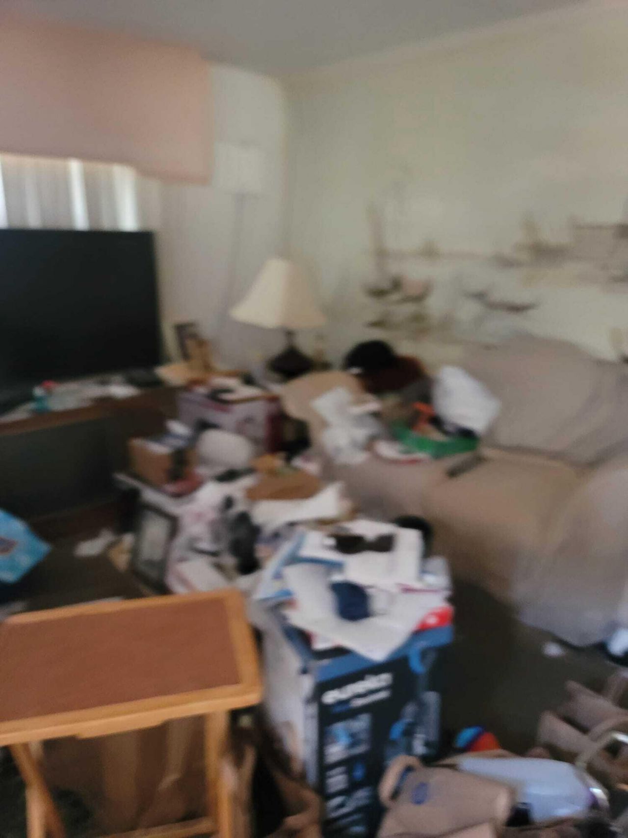 2241 Freedom Street, Hollywood, FL 33020 Photo