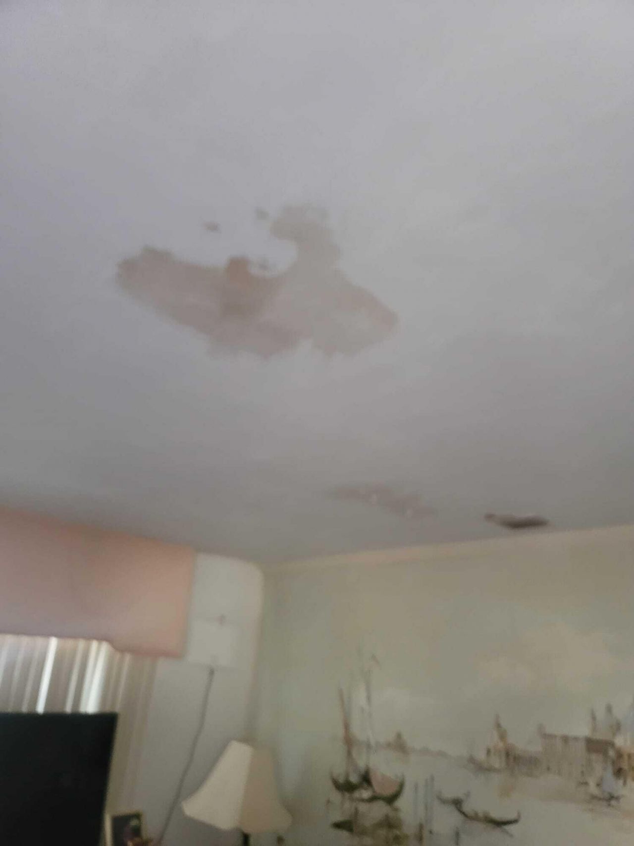 2241 Freedom Street, Hollywood, FL 33020 Photo