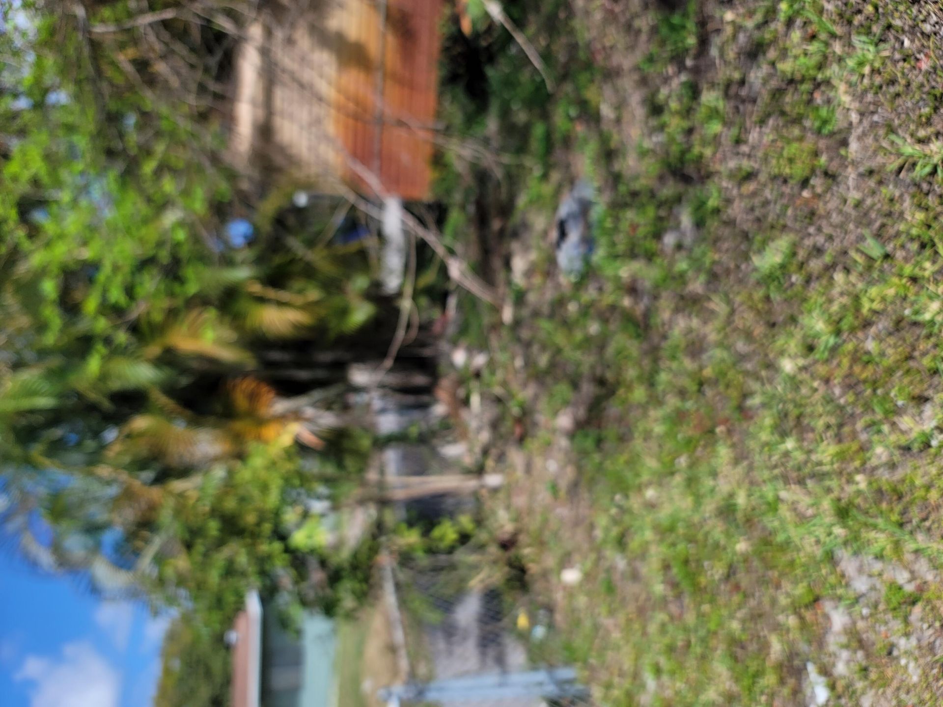 2241 Freedom Street, Hollywood, FL 33020 Photo