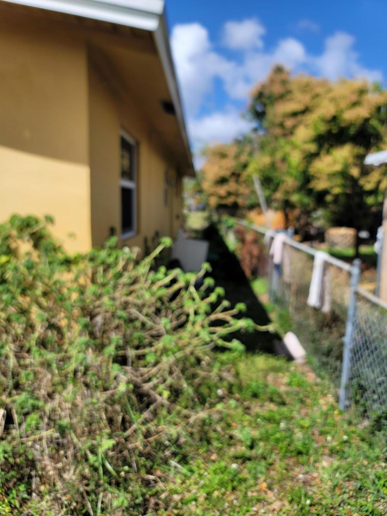 2241 Freedom Street, Hollywood, FL 33020 Photo