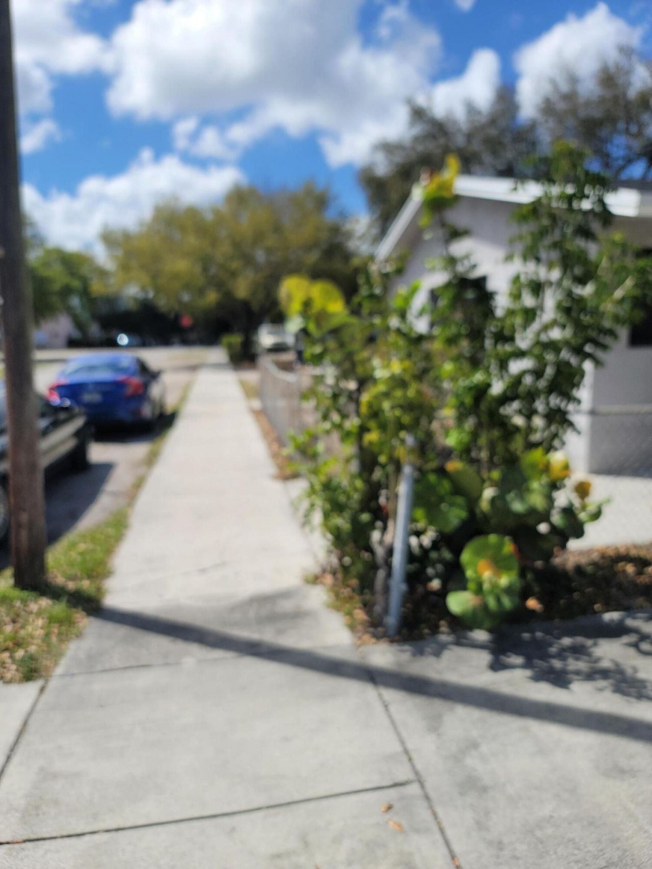 2241 Freedom Street, Hollywood, FL 33020 Photo