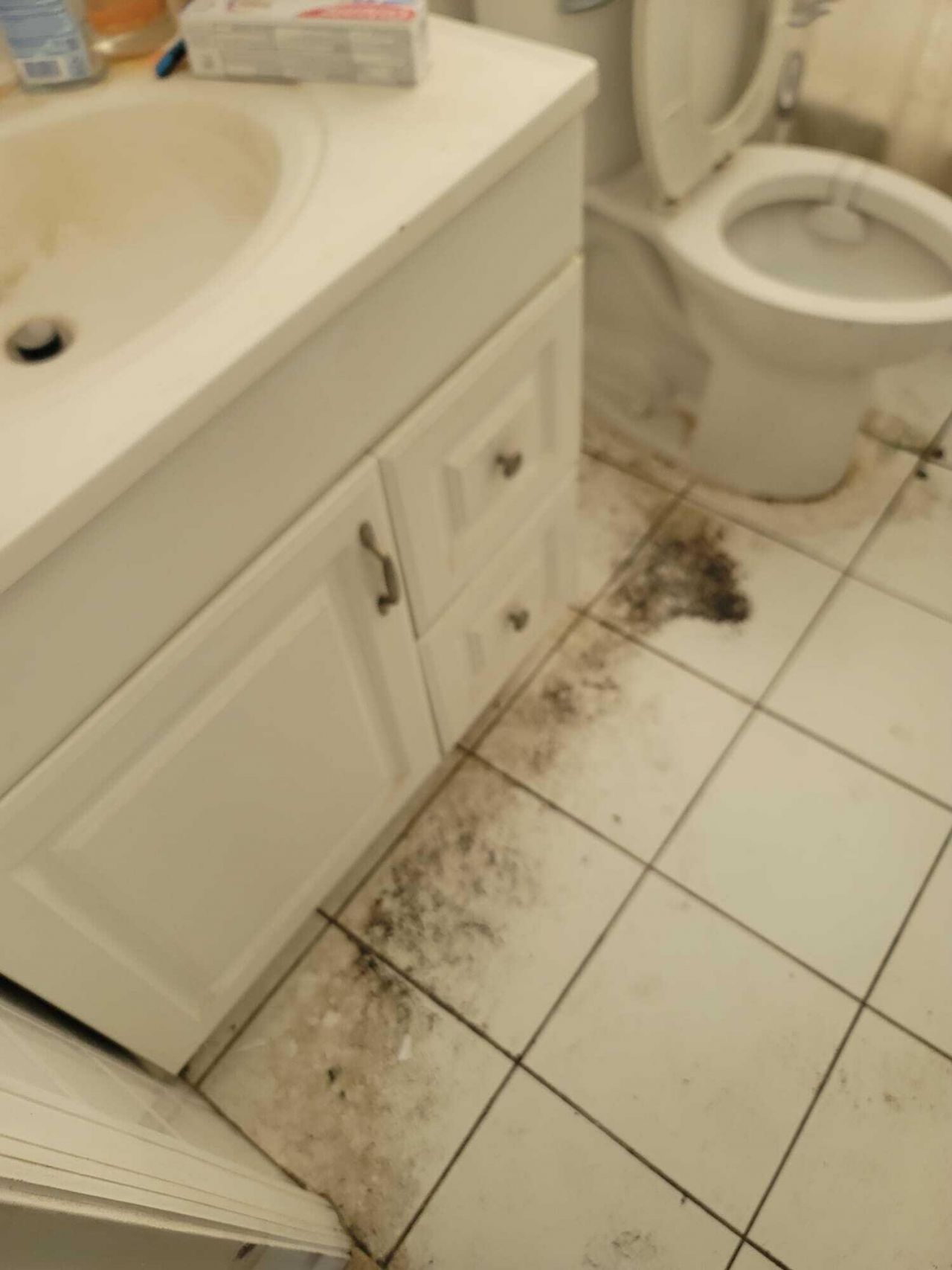 2241 Freedom Street, Hollywood, FL 33020 Photo