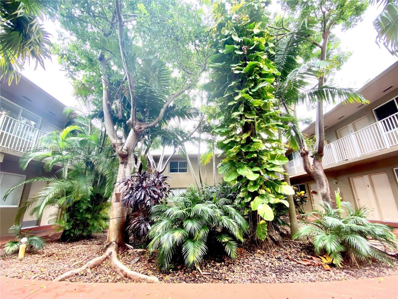 6330 SW 79th St , Unit 18, South Miami, FL 33143 Photo