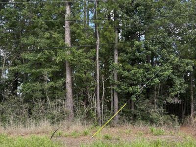 0 University Drive, Unit Lot 185, North Charleston, SC 29418