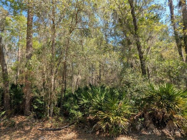 TBD NE COUNTY ROAD 234 , GAINESVILLE, FL 32641