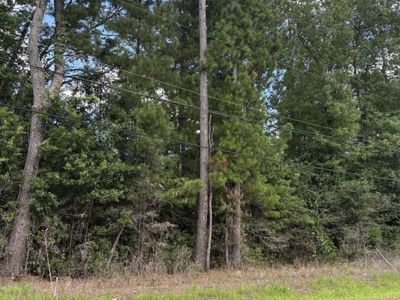 0 University Drive, Unit Lot 187, North Charleston, SC 29418