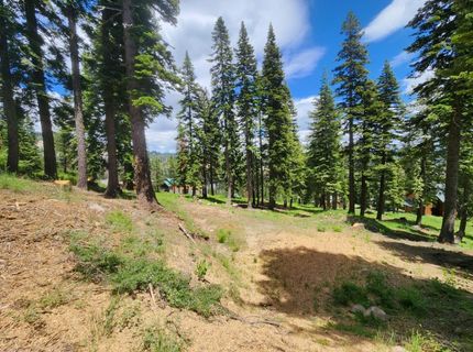 332 Snowshoe Rd, Bear Valley, CA 95223 Photo