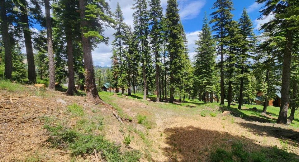 332 Snowshoe Rd, Bear Valley, CA 95223 Photo