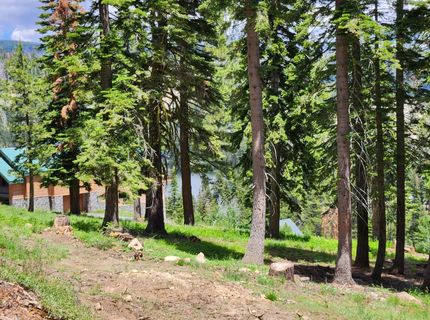 332 Snowshoe Rd, Bear Valley, CA 95223 Photo