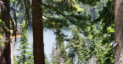 332 Snowshoe Rd, Bear Valley, CA 95223 Photo