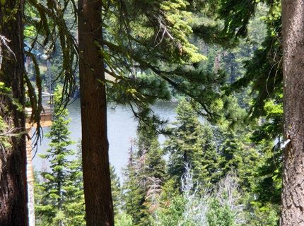 332 Snowshoe Rd, Bear Valley, CA 95223 Photo