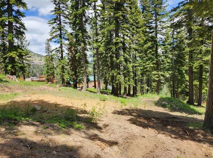 332 Snowshoe Rd, Bear Valley, CA 95223 Photo
