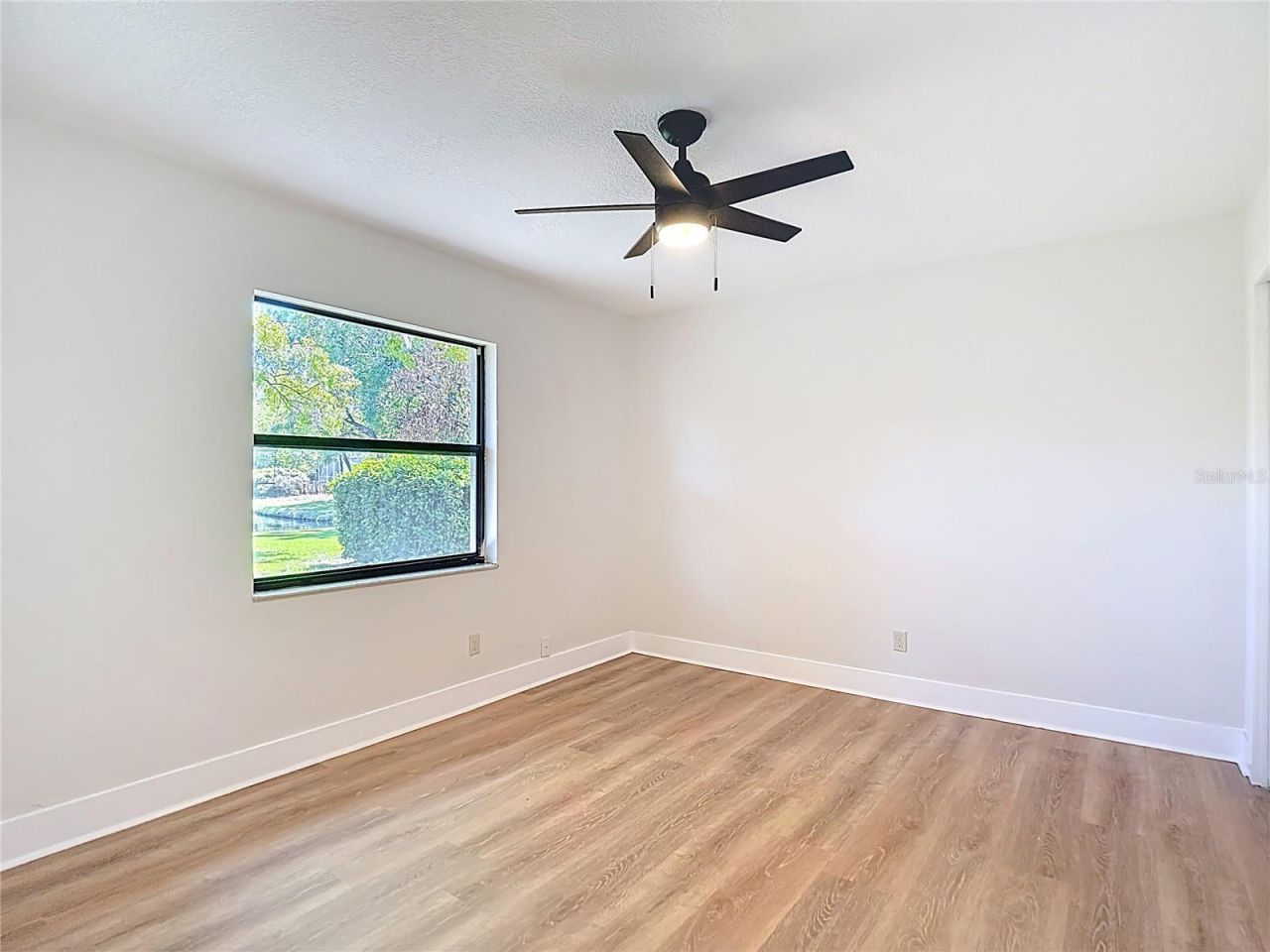 4072 Belmoor Drive, Palm Harbor, FL 34685 Photo