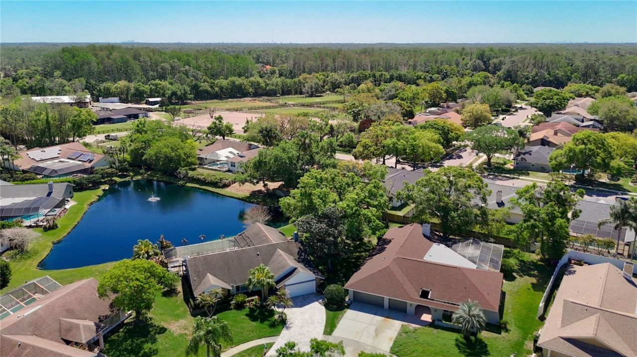 4072 Belmoor Drive, Palm Harbor, FL 34685 Photo