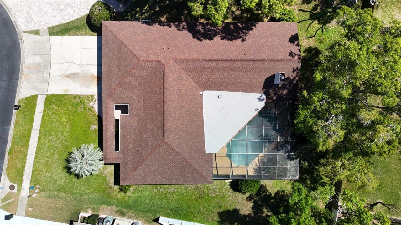 4072 Belmoor Drive, Palm Harbor, FL 34685 Photo