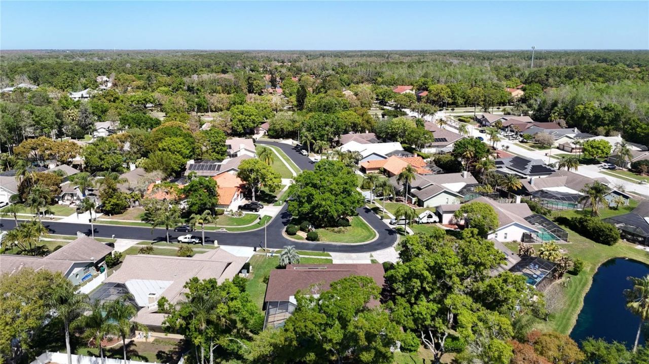 4072 Belmoor Drive, Palm Harbor, FL 34685 Photo