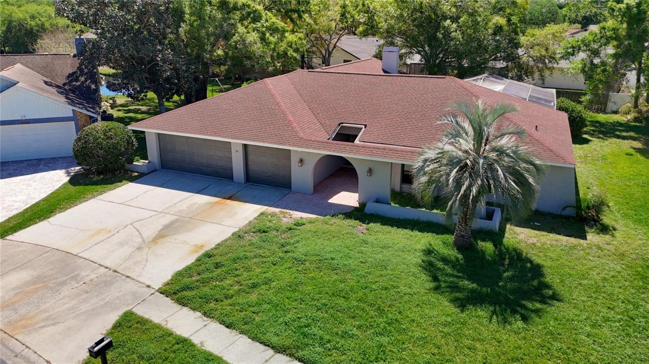 4072 Belmoor Drive, Palm Harbor, FL 34685 Photo