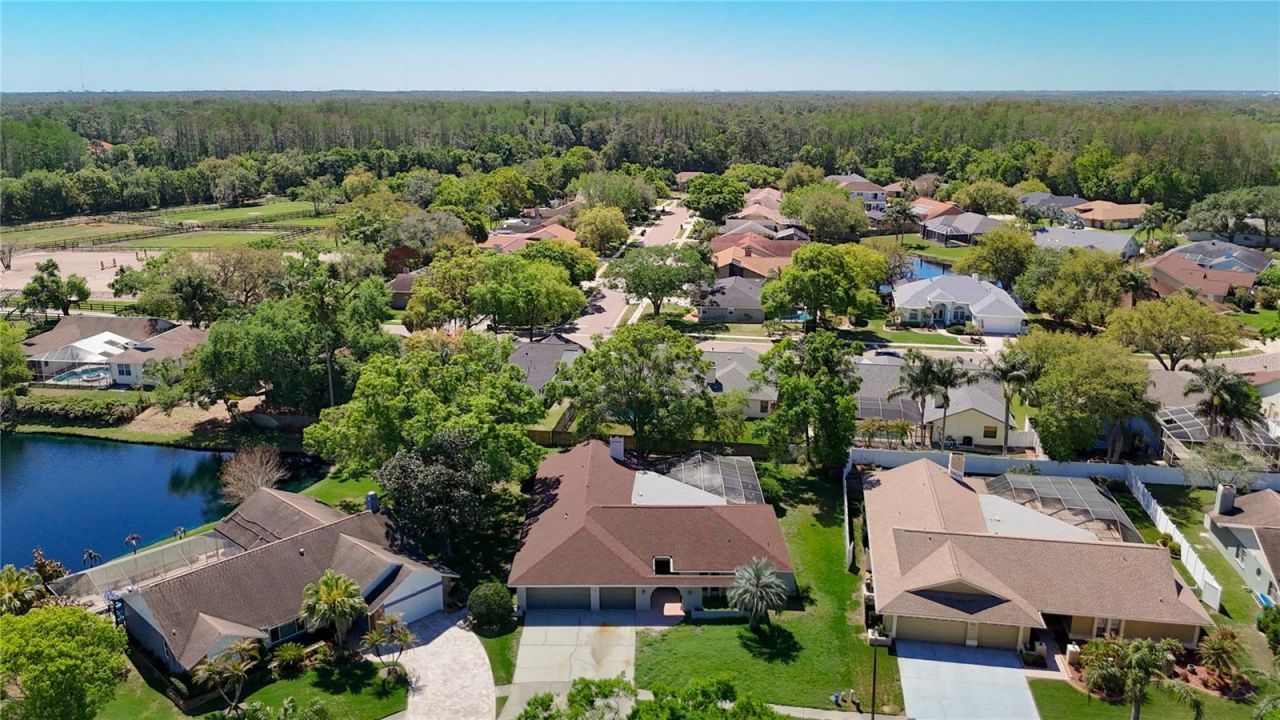 4072 Belmoor Drive, Palm Harbor, FL 34685 Photo