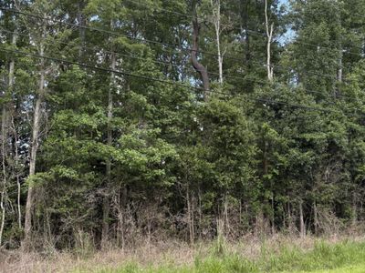 0 University Drive, Unit Lot 222, North Charleston, SC 29418