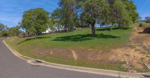 507 Rosebush Court, Angels Camp, CA 95222 Photo