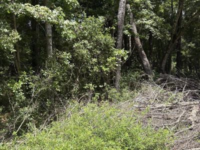 0 University Drive, Unit Lot 223, North Charleston, SC 29418