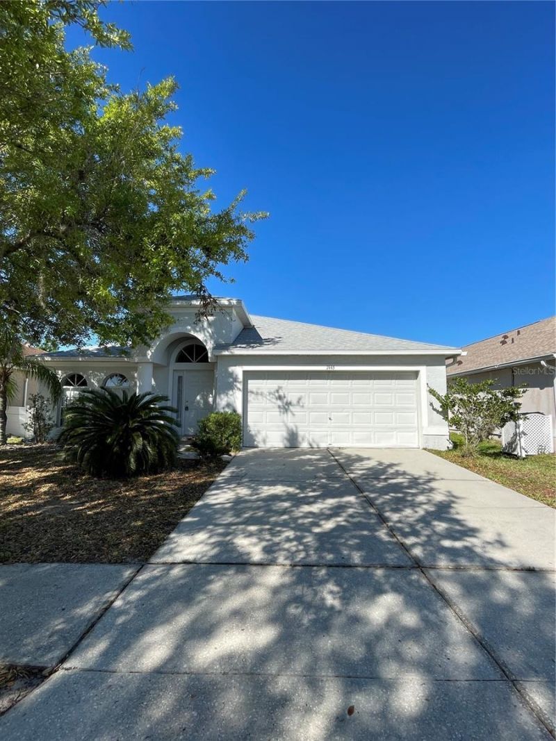 7445 Tower Bridge Drive, Wesley Chapel, FL 33545 Main Photo