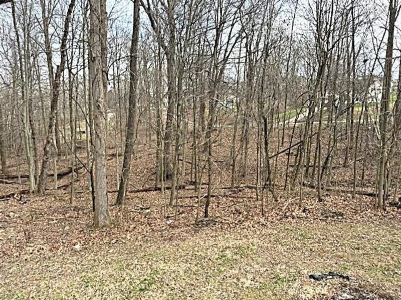 6405 Pixie Place , Nashport, OH 43830 Photo 35