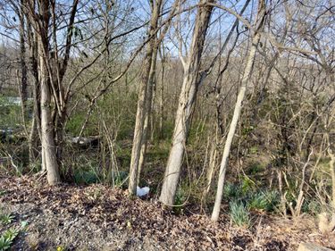 794 Missouri Valley Road, Monticello, KY 42633