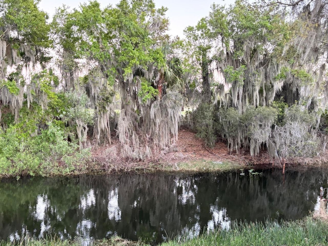 613 S Willow Avenue , Avon Park, FL 33825 Photo