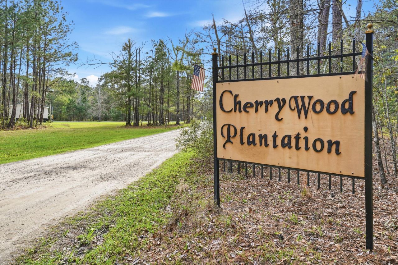 151 Della Lane Photo 31