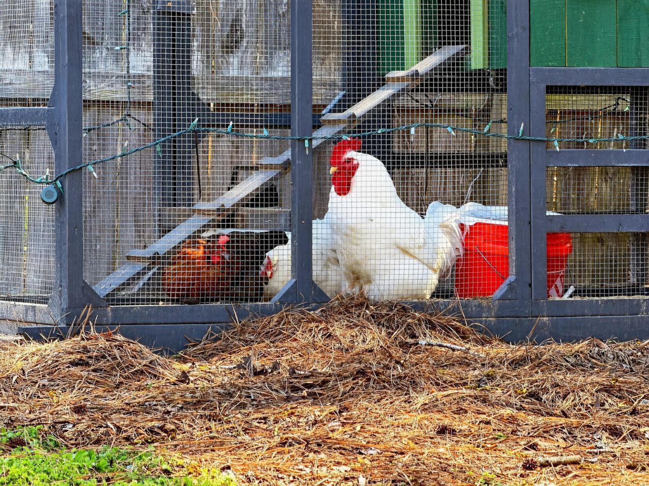 7389 Commodore Road Photo 48