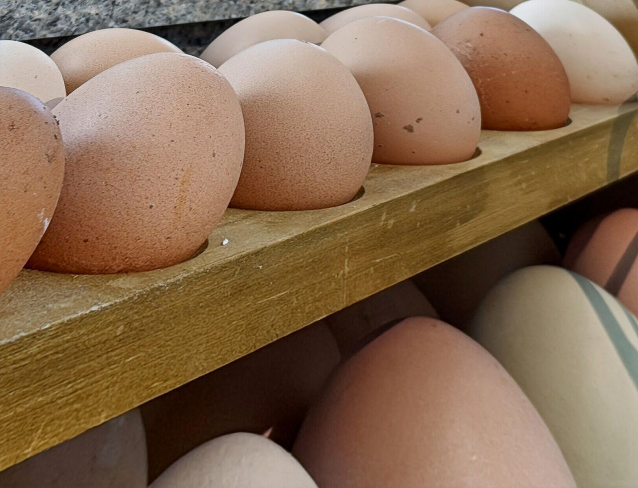 7389 Commodore Road Photo 49