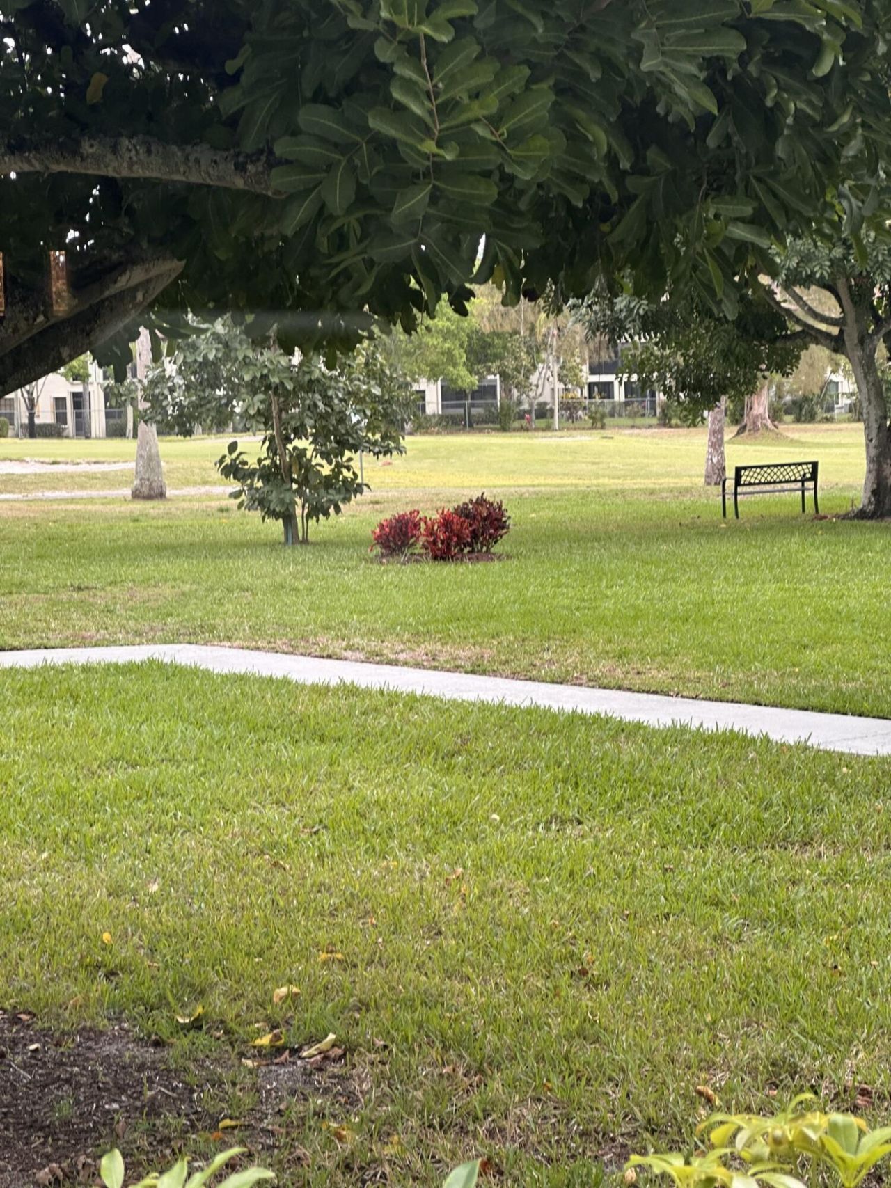 6698 N 10th Ave Avenue N, Unit 116, Lake Worth, FL 33467 Photo