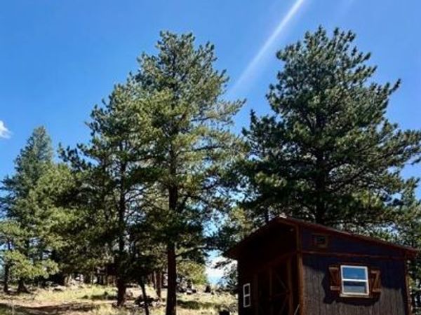 1176 Trail Creek Road, Lake George, CO 80827