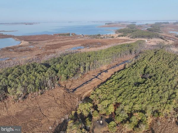 2373 ASQUITH ISLAND ROAD, CRAPO, MD 21626