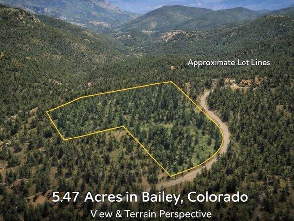 927 Forest Drive, Bailey, CO 80421